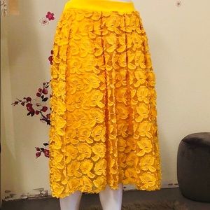 New York & Company Skirt